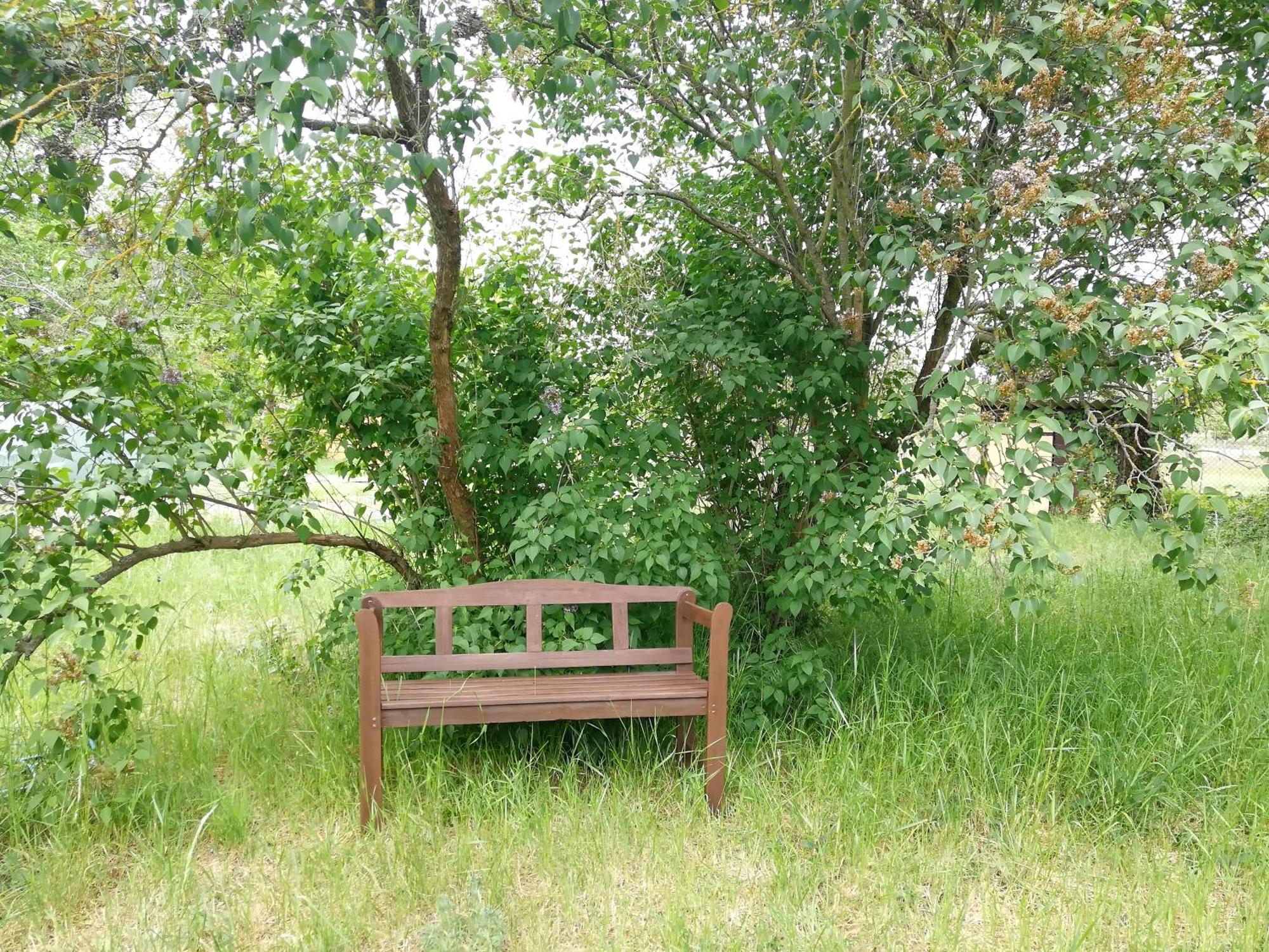Kleine Galerie Apartment Fuer 3 Mit Kueche Kamin Netflix Parken Und Hofladen Steinhofel Exteriör bild